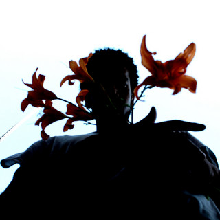 Wayloz